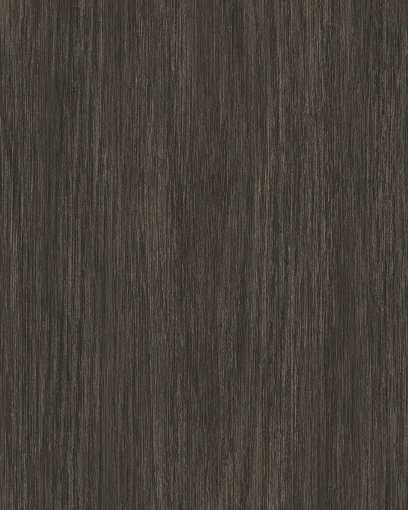 Forest Black Forest - Wall Vinyl