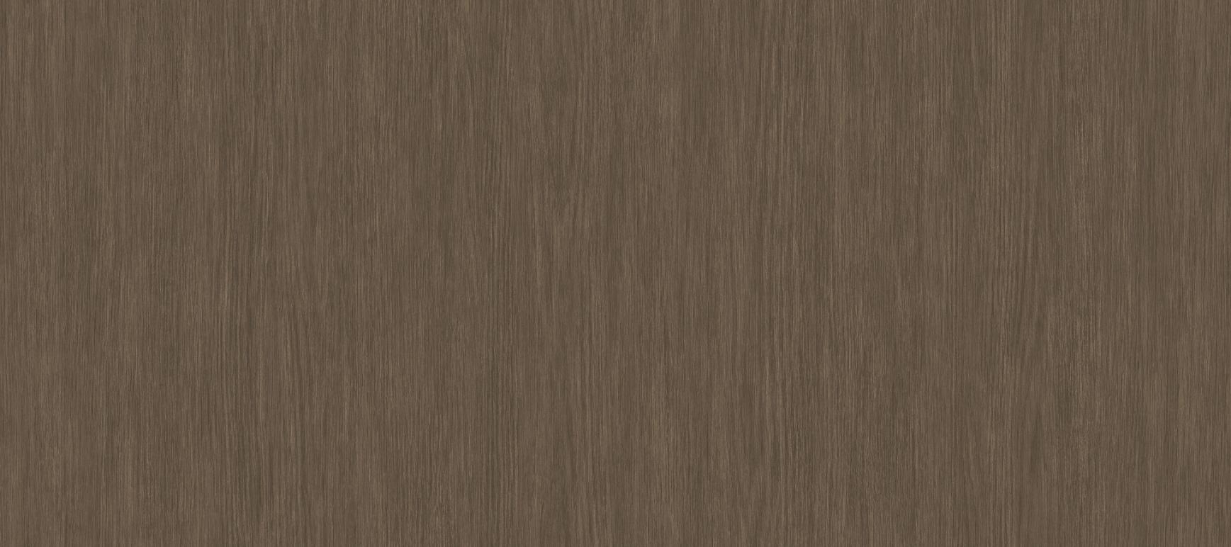 Forest Briar - Wall Vinyl - Image 3