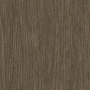 Forest Briar - Wall Vinyl