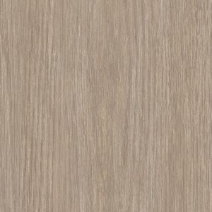 Forest French Oak - Wall Vinyl