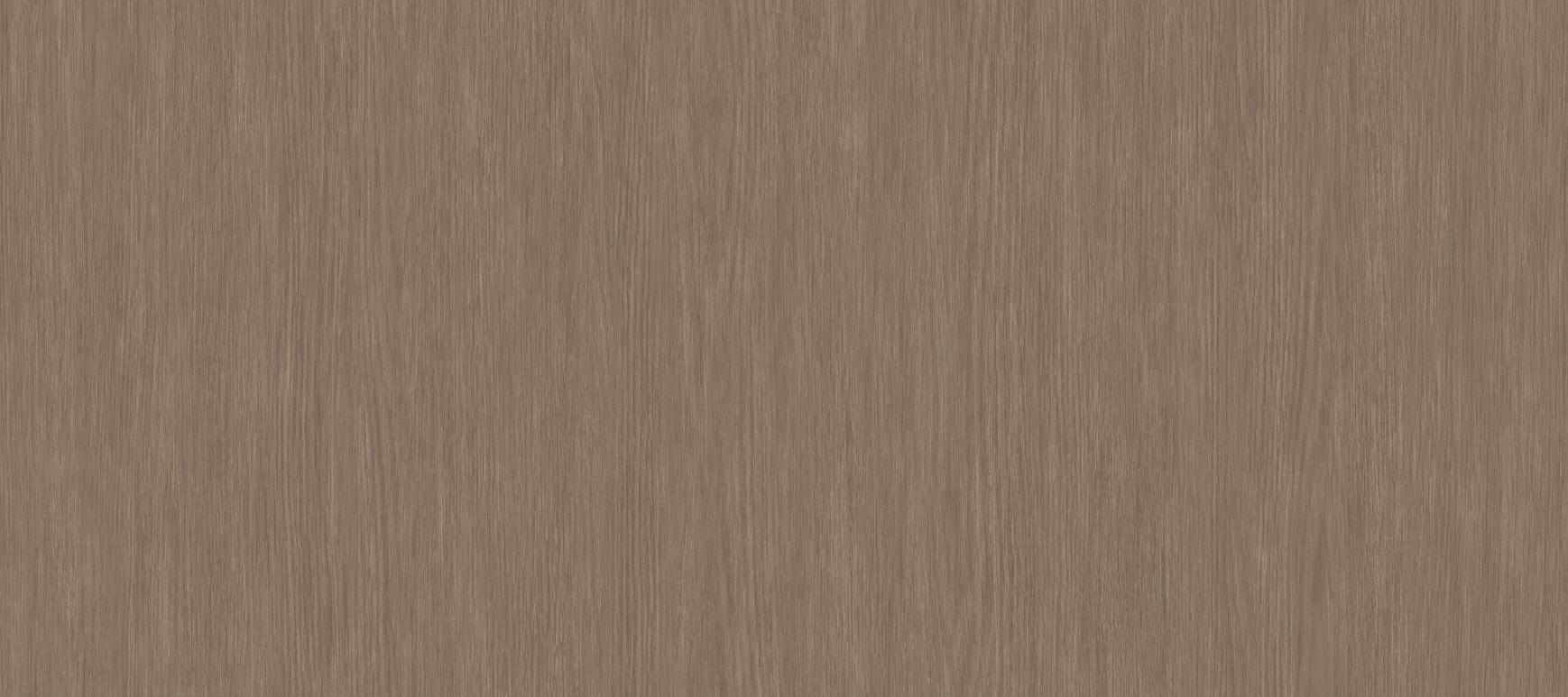 Forest Timber - Wall Vinyl - Image 3