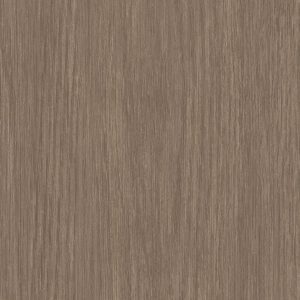 Forest Timber - Wall Vinyl