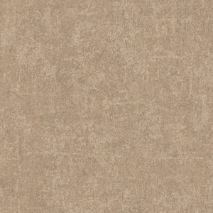 Rock Canyon - Wall Vinyl