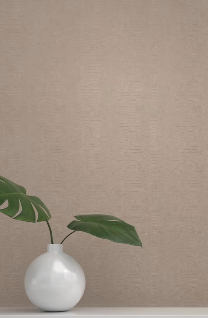Croc Maison Almandine, in situ render, bio-sourced wall covering