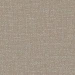 Palomar Willowleaf
