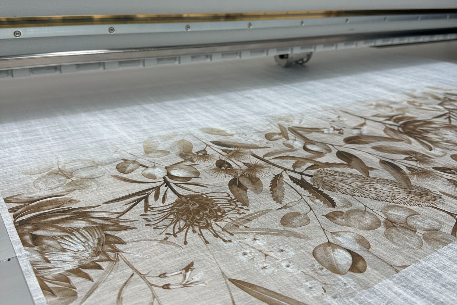 Sunland Sepia, brushed silver